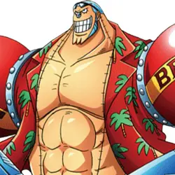 Franky (Post-TimeSkip)