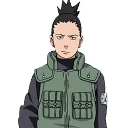 Shikamaru Nara (Timeskip)