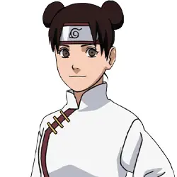 Tenten (Timeskip)